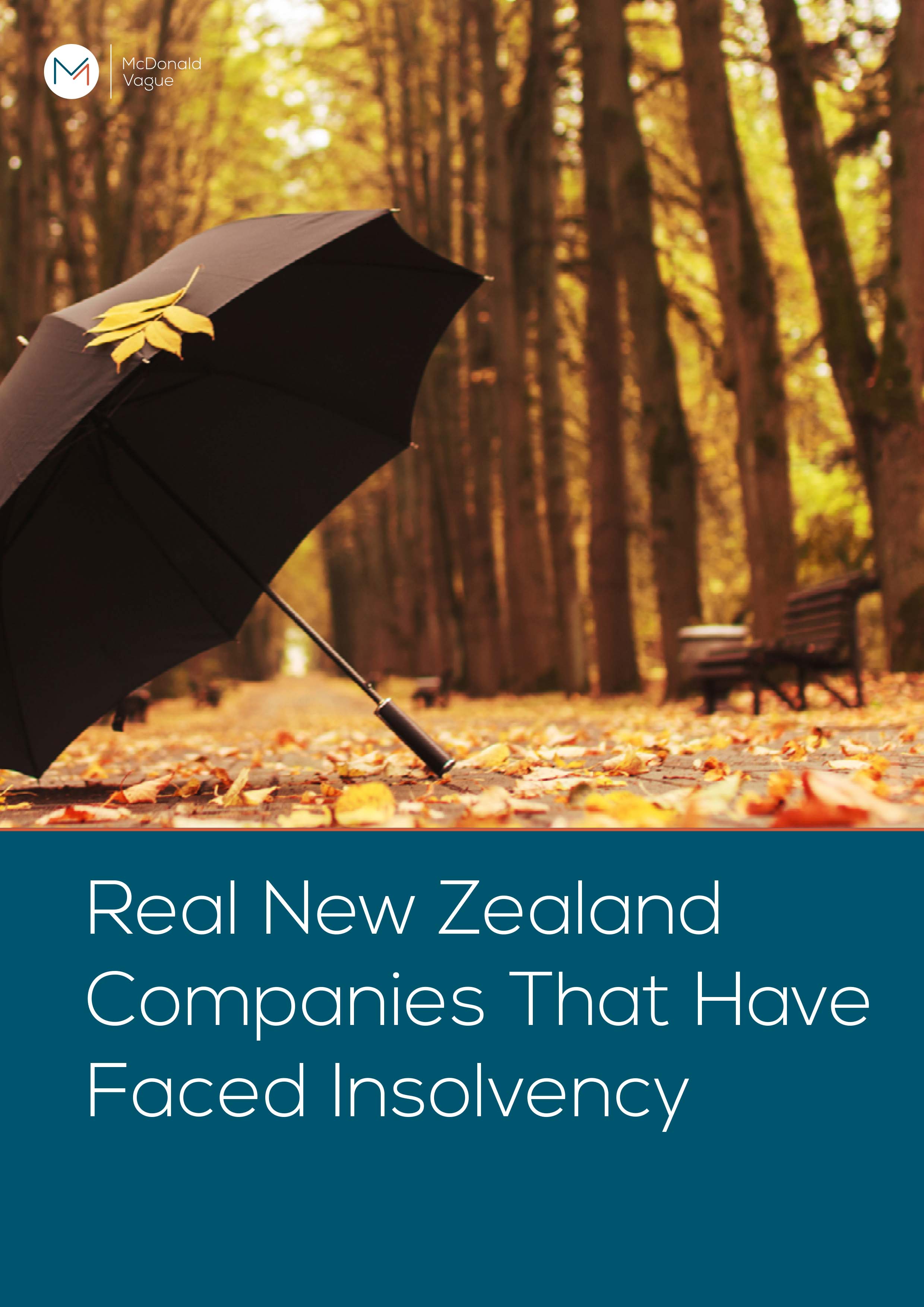 Real New Zealand Companies That Have Faced Insolvency