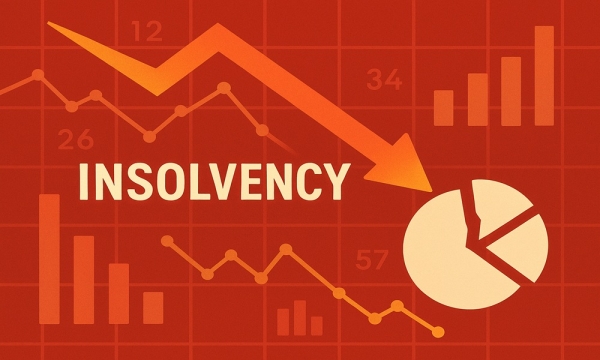 Insolvency by the Numbers #56:  NZ Insolvency Statistics July 2025